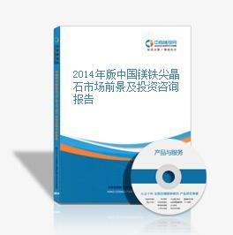 2014年版中國鎂鐵尖晶石市場前景及投資咨詢報告