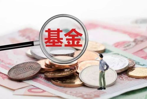 湖南金證投資咨詢公司怎么樣 教你挑選一支新基金