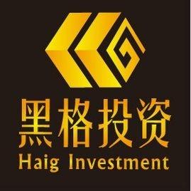 常州黑格投資咨詢