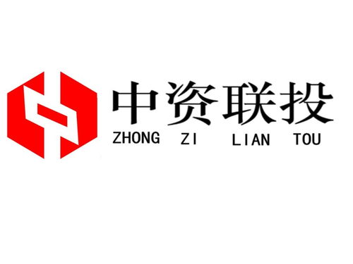 武漢市中資聯(lián)投投資咨詢