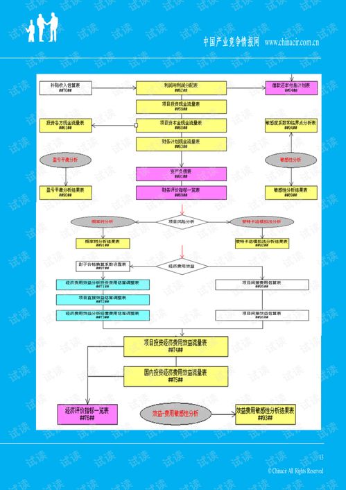 app項目商業計劃書 2013年融資成功案例范文 協助企業融資 投資專家免費咨詢商業計劃書精品模板.pdf