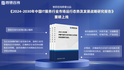 2024版中國IT服務(wù)行業(yè)發(fā)展現(xiàn)狀及投資前景研究報(bào)告(智研咨詢)