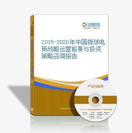 2015-2020年中國排球電商戰(zhàn)略運(yùn)營前景與投資策略咨詢報(bào)告